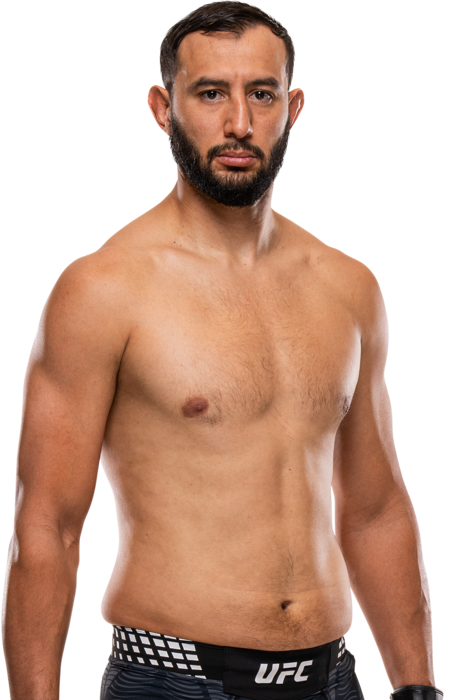 Dominick Reyes portrait
